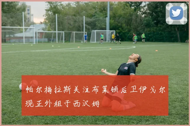 帕尔梅拉斯关注布莱顿后卫伊戈尔现正外租于西汉姆