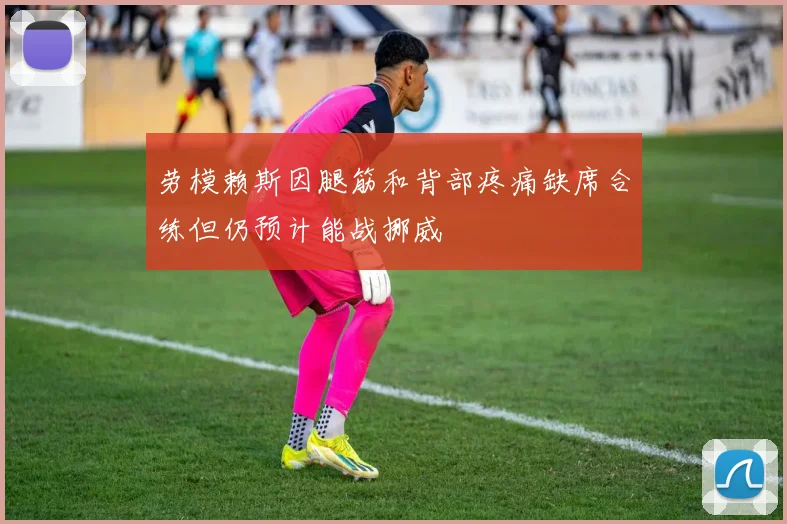 劳模赖斯因腿筋和背部疼痛缺席合练但仍预计能战挪威
